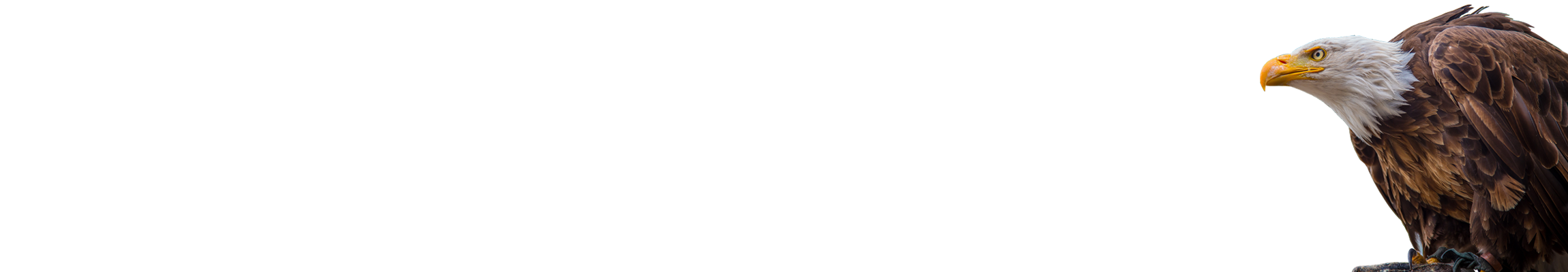 Bridgewater Republican <br>Municipal Committee